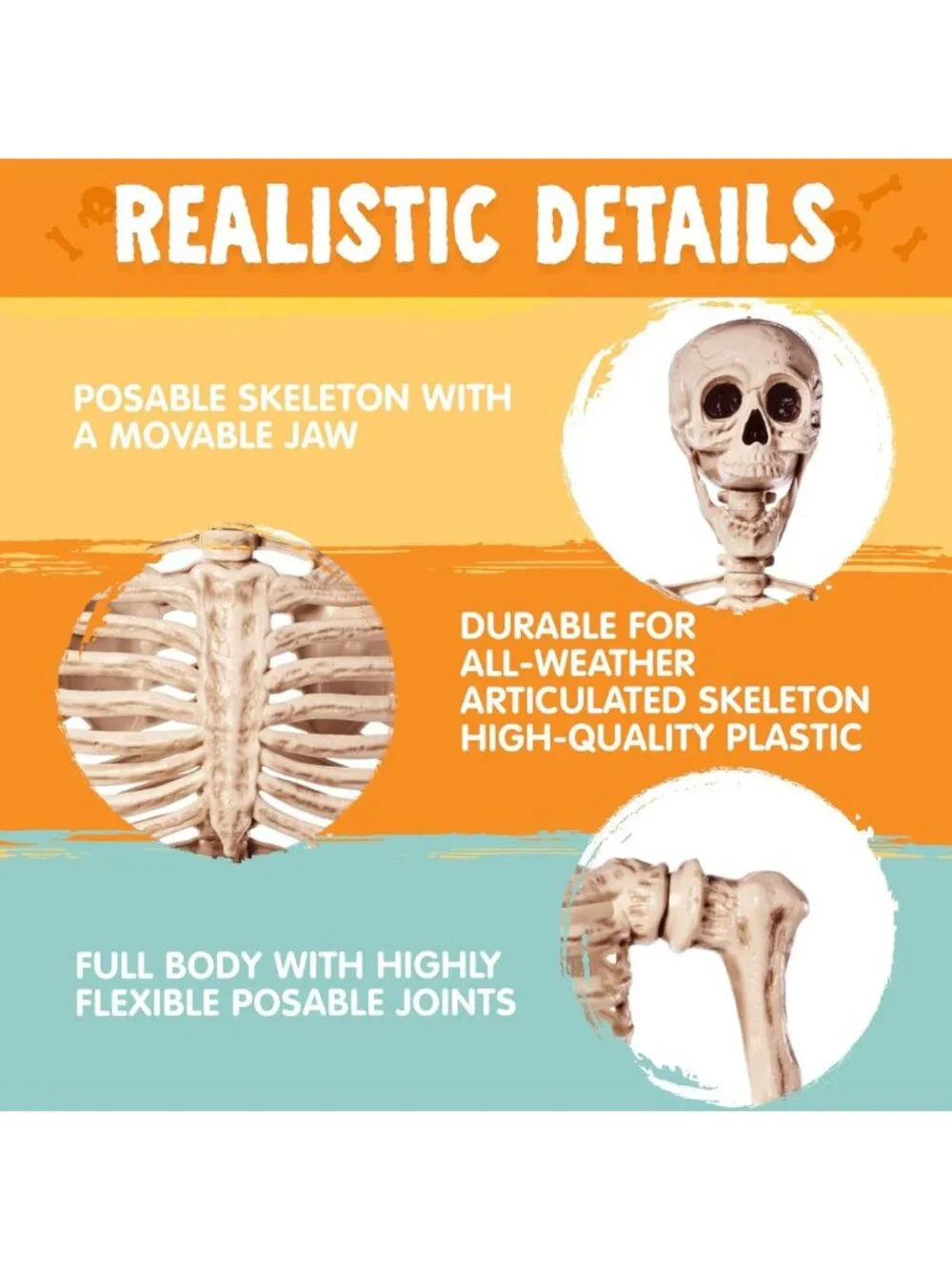 Life-Size Posable Skeleton 5.6 FT - Realistic Bones, Movable Joints, Halloween